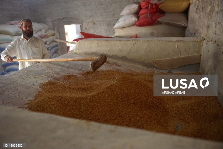 Paquistão: Comércio de trigo