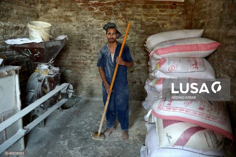 Paquistão: Comércio de trigo