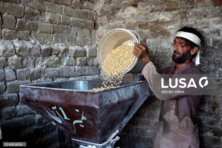 Paquistão: Comércio de trigo