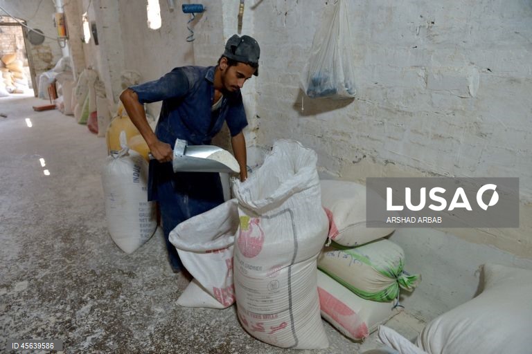 Paquistão: Comércio de trigo