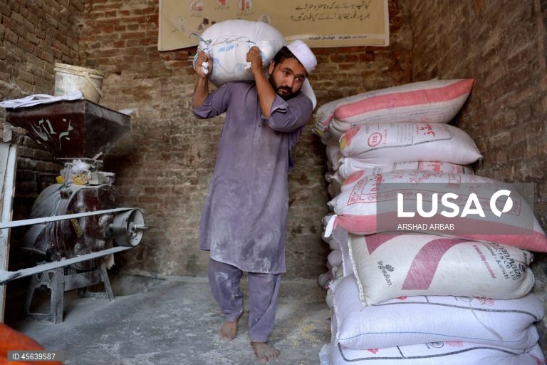 Paquistão: Comércio de trigo