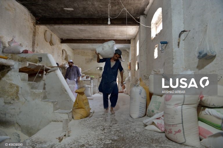 Paquistão: Comércio de trigo