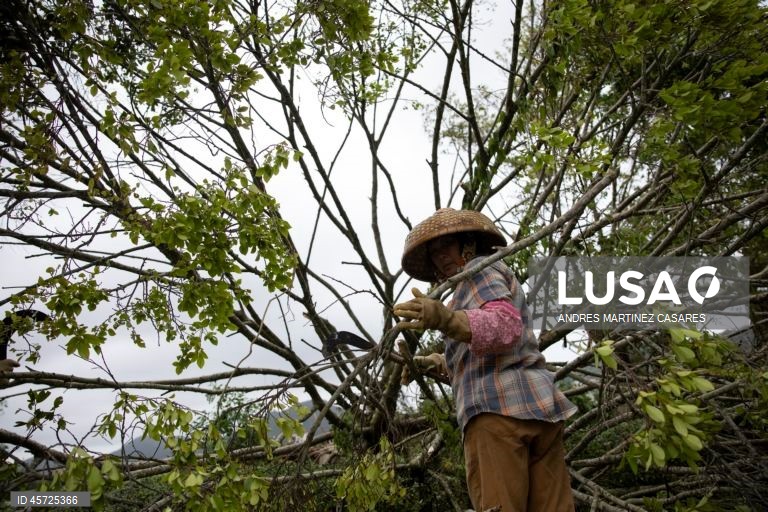 China: Consequências do tufão Ragasa.