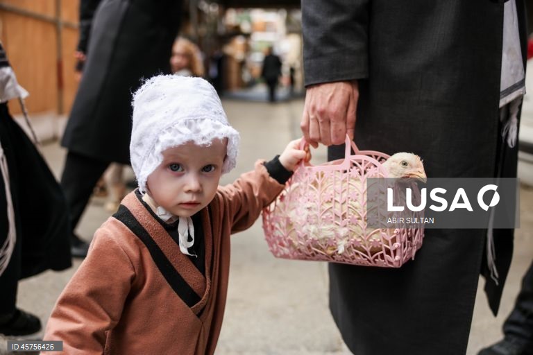 Israel: Ritual do Kapparot no bairro ultra-ortodoxo de Mea Shearim em Jerusalém