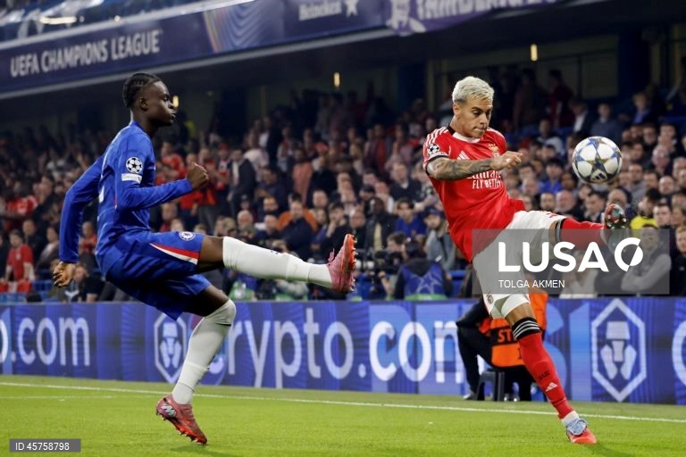 Futebol: Liga dos Campeões - Chelsea vs Benfica
