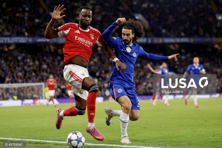 Futebol: Liga dos Campeões - Chelsea vs Benfica
