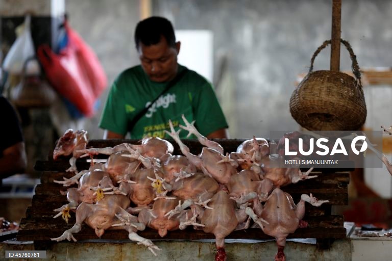 Indonésia: Mercado de rua em Banda Aceh