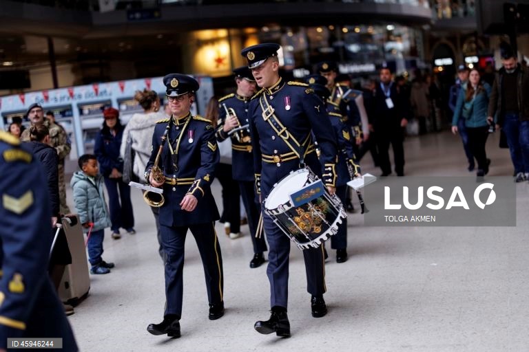 Dia da Papoila em Londres 