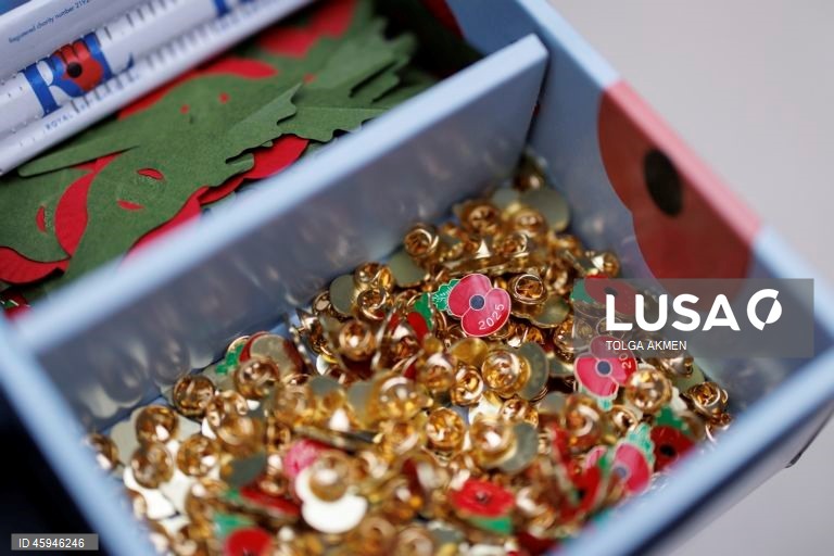 Dia da Papoila em Londres 