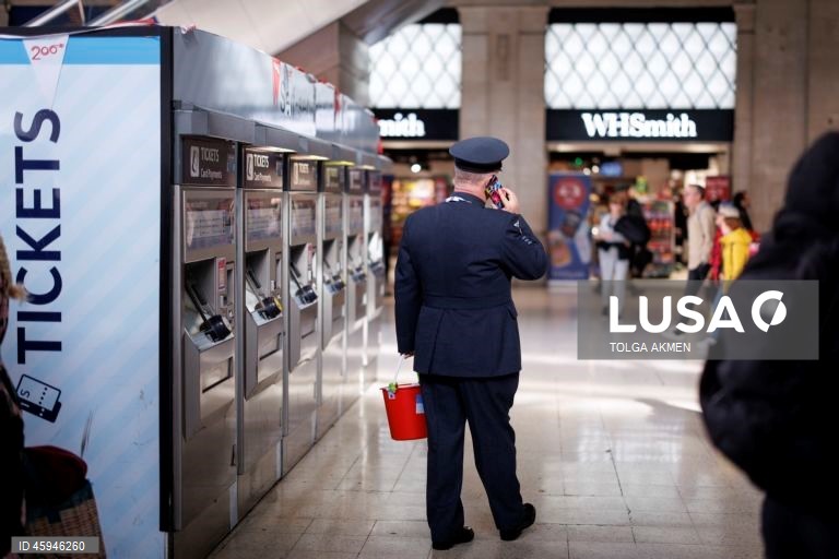 Dia da Papoila em Londres 