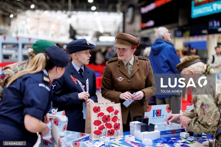 Dia da Papoila em Londres 