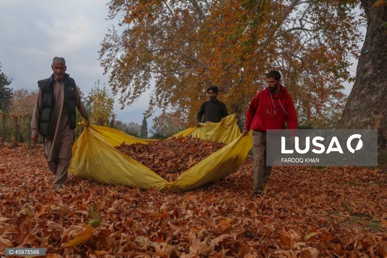 Índia: Quotidiano em Srinagar, Caxemira