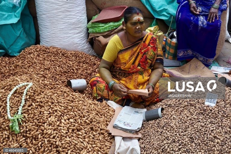 Índia: Feira anual do amendoim em Bangalore