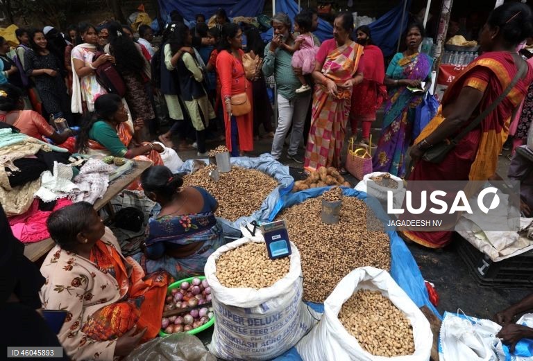 Índia: Feira anual do amendoim em Bangalore