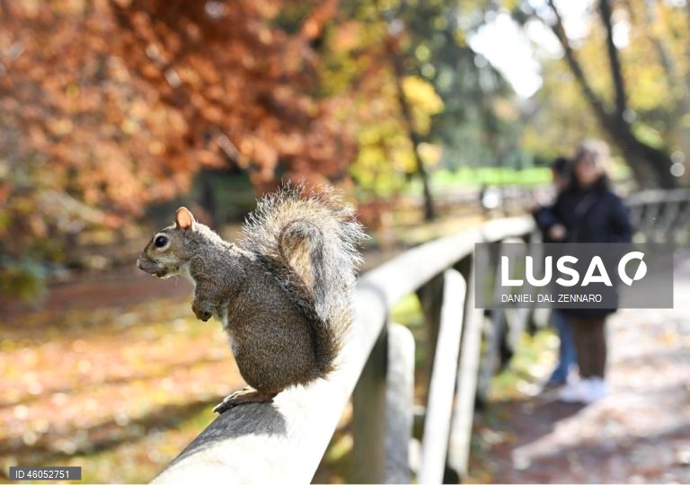 Itália: Dia de Outono em Milão