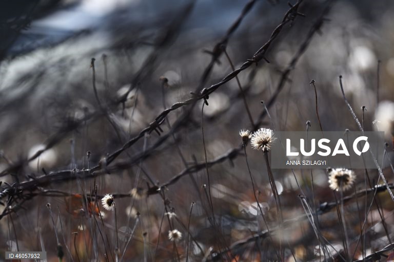 Alemanha: ministro da Cultura alemão Wolfram Weimer visita campo de concentração de Dachau