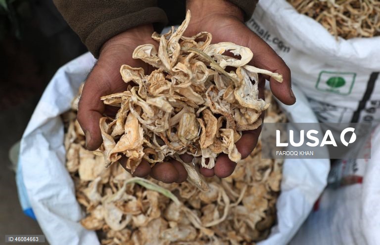 Índia: Mercado de rua em Srinagar na Caxemira indiana