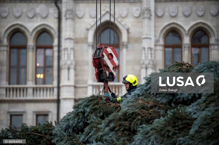 Preparações para o Natal na Hungria