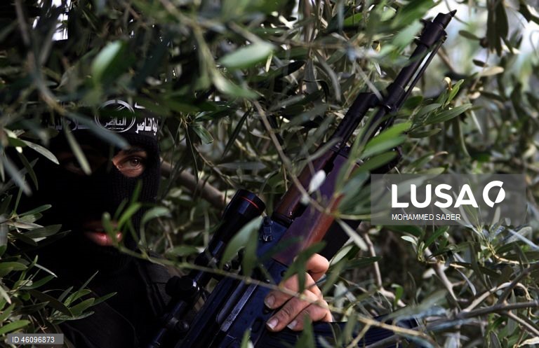 26 de novembro - Dia Internacional da Oliveira