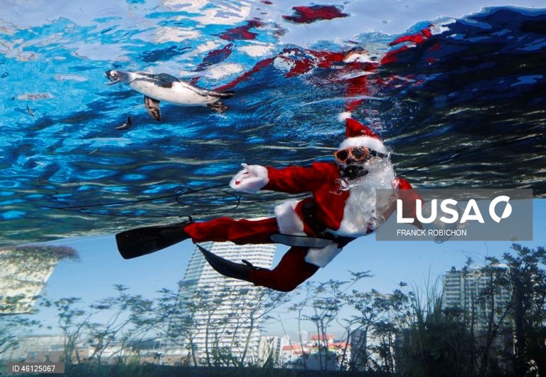 Pai Natal no Aquário de Tóquio