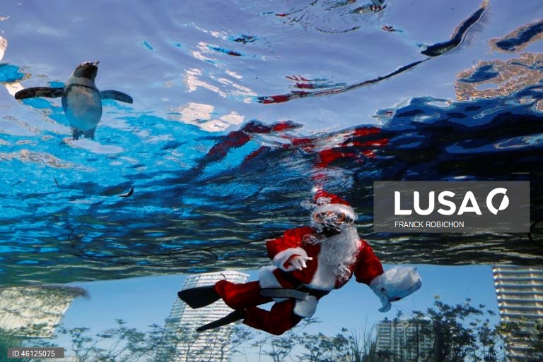 Pai Natal no Aquário de Tóquio