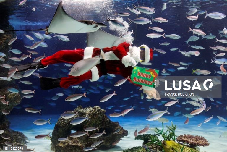 Pai Natal no Aquário de Tóquio
