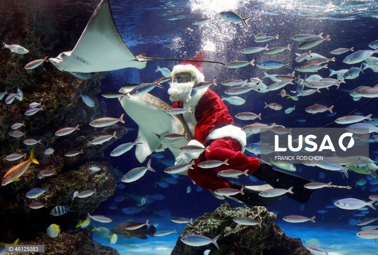 Pai Natal no Aquário de Tóquio