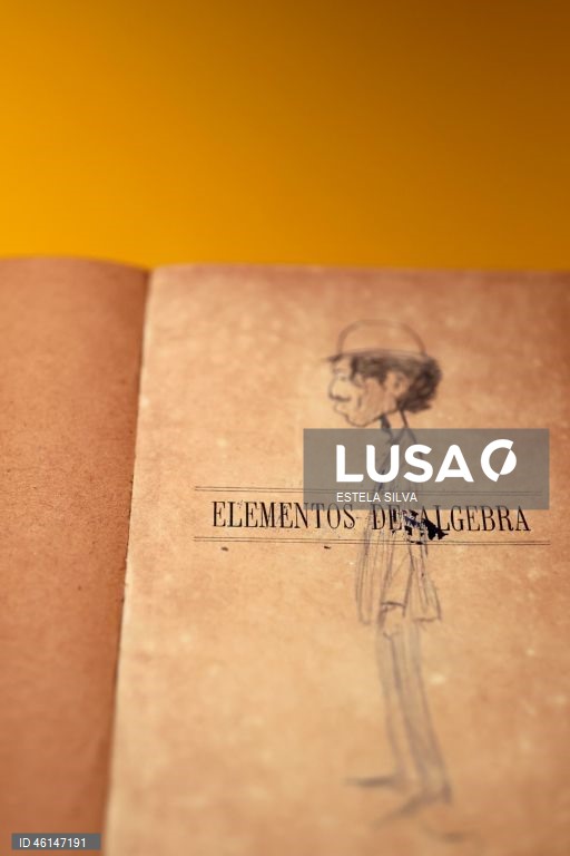 Visita guiada às exposições “A Marginália de Amadeo” e “Nadir Afonso: Território de Absoluta Liberdade”