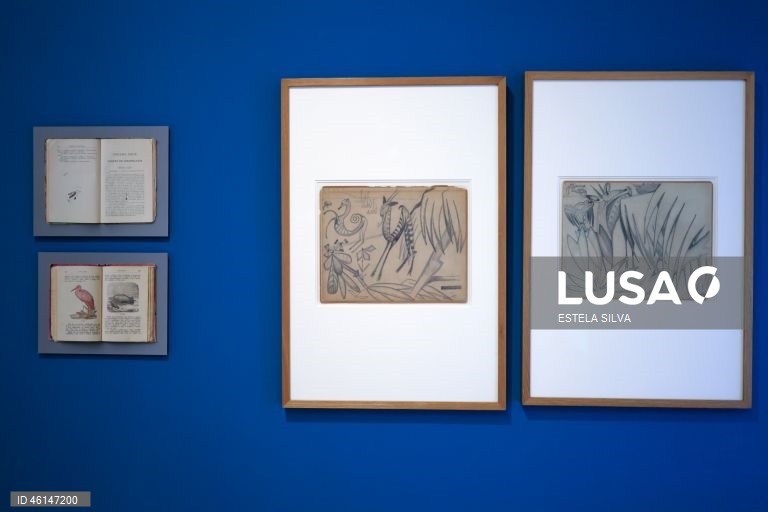 Visita guiada às exposições “A Marginália de Amadeo” e “Nadir Afonso: Território de Absoluta Liberdade”