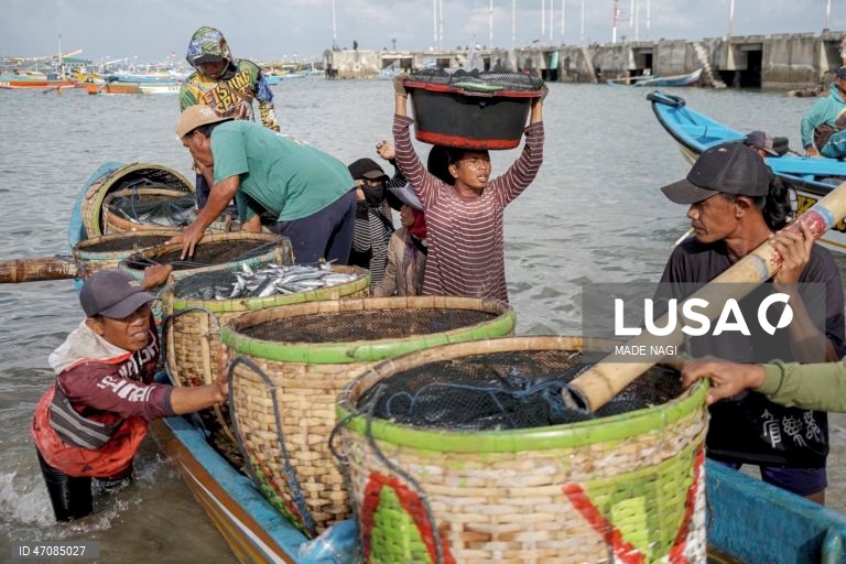Indonésia: Pesca artesanal no Bali