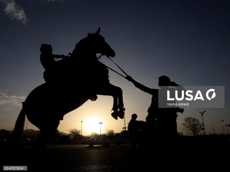 Iémen: Passeios a cavalo em Saná ao por do sol