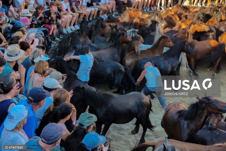 Espanha: Tradicional Festival  "Rapa das Bestas" em Sabucedo