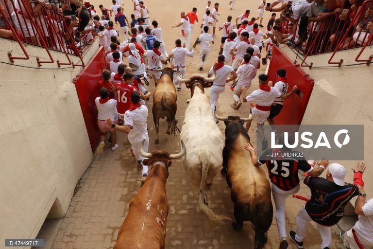 Os corredores, conhecidos como «mozos», são perseguidos pelos touros da fazenda La Palmosilla durante a sexta corrida de touros do festival de San Fermín, em Pamplona, no norte de Espanha.