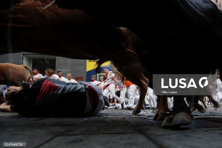 Os corredores, conhecidos como «mozos», são perseguidos pelos touros da fazenda La Palmosilla durante a sexta corrida de touros do festival de San Fermín, em Pamplona, no norte de Espanha.