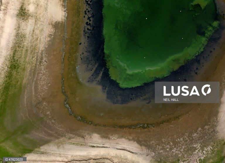 Reino Unido: O reservatório de Hanningfield, em Essex, está abaixo da sua capacidade devido à seca