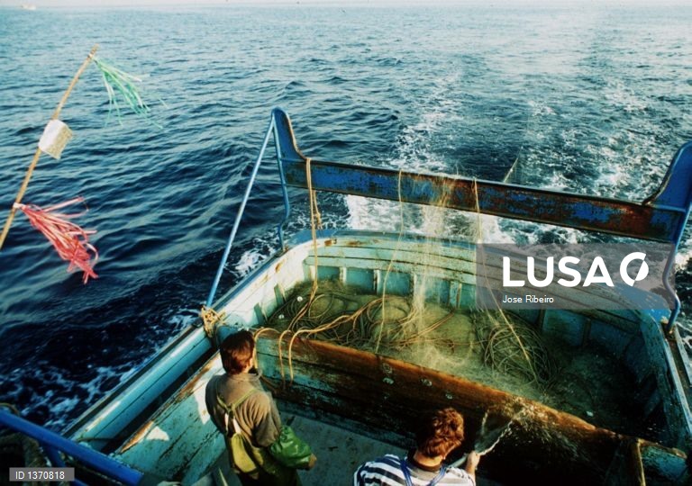 Frota portuguesa de pesca licenciada volta a cair em 2024 para 3.614 embarcações