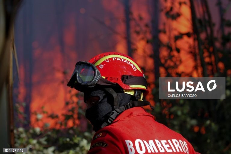Mais de 100 operacionais combatem fogo florestal em Arouca