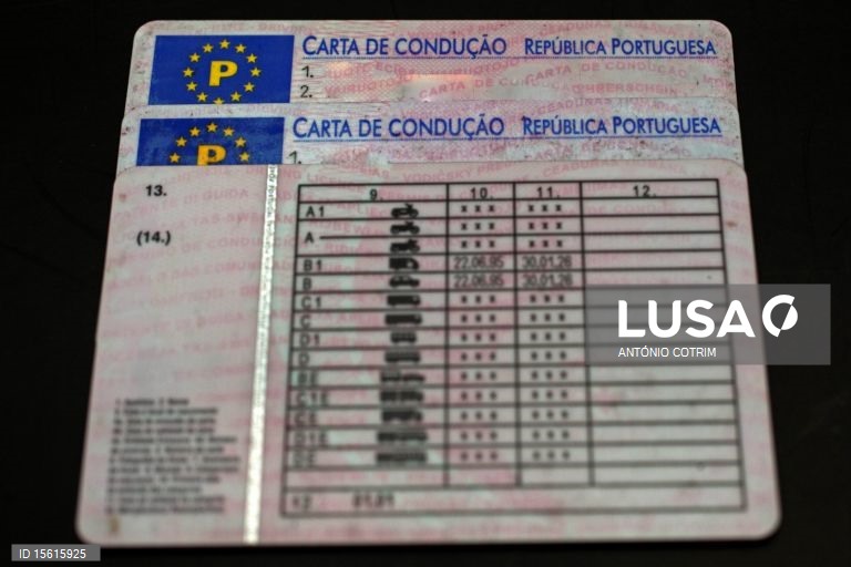 Carta De ConduÃ§Ã£o Queluz  Recipes Site e