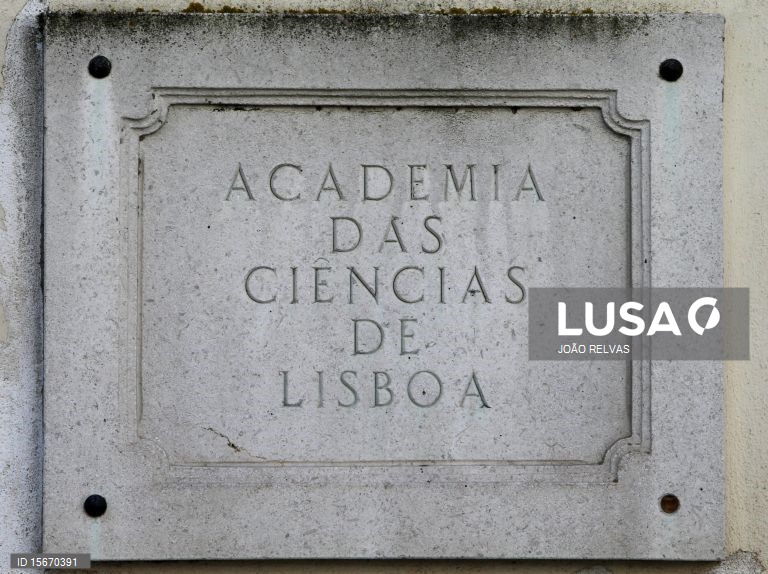Apagão”, “flotilha” e “tarefeiro” nas palavras do ano destacadas pela Academia das Ciências