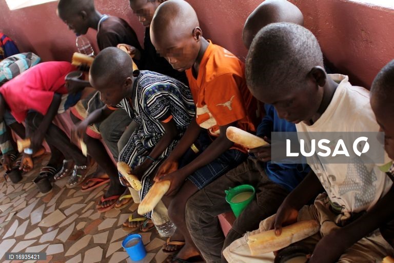 PAM alerta para aumento de insegurança alimentar na Guiné-Bissau em 2023
