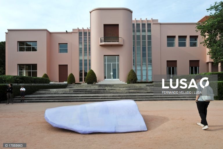 Exposição em Serralves desvenda pela primeira vez no Porto coleção Duerckheim