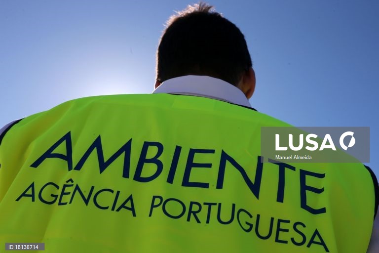 ONG avançam com providência cautelar para travar retirada de professores de projetos ambientais