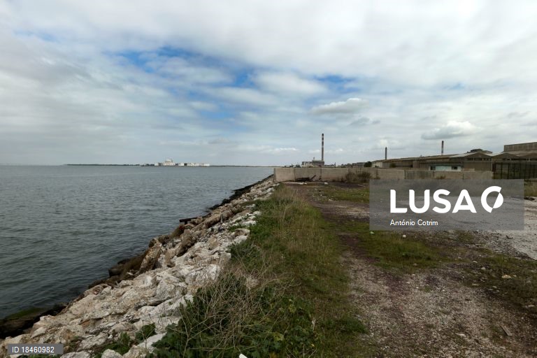 Terminal de contentores do Barreiro não avançará após declaração ambiental desfavorável