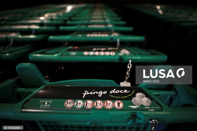 Pingo Doce exige em tribunal fim de campanha que associa empresa a maus tratos animais