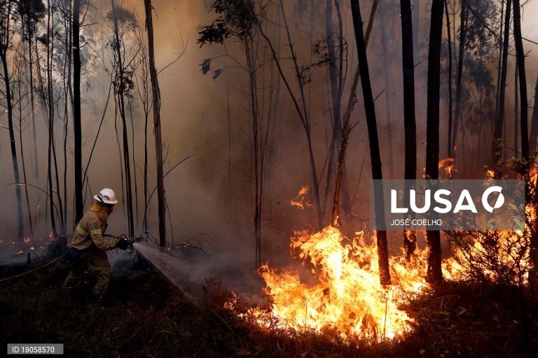 Incêndios: Dominado fogo em eucaliptal no concelho de Sousel