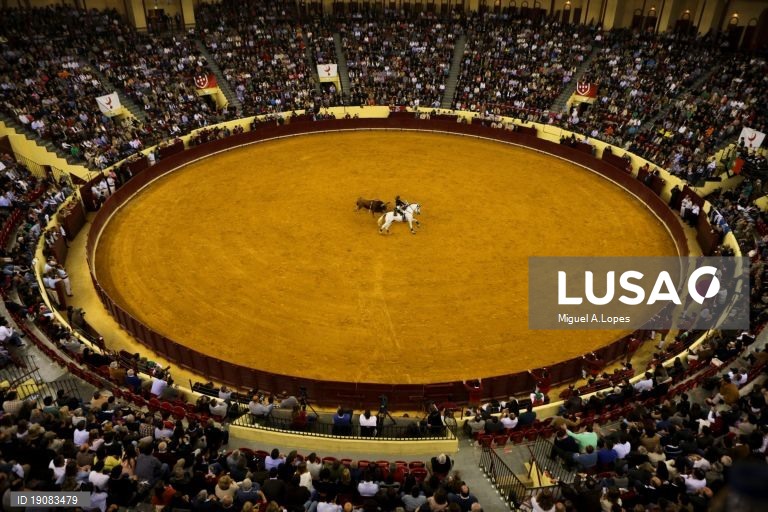 Mais de 375 mil espetadores assistiram a touradas em Portugal em 2022 - federação