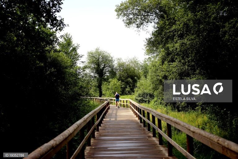 Feira com 1,5 ME para mais 3,25 kms de passadiços e 1.600 árvores junto ao rio Uíma