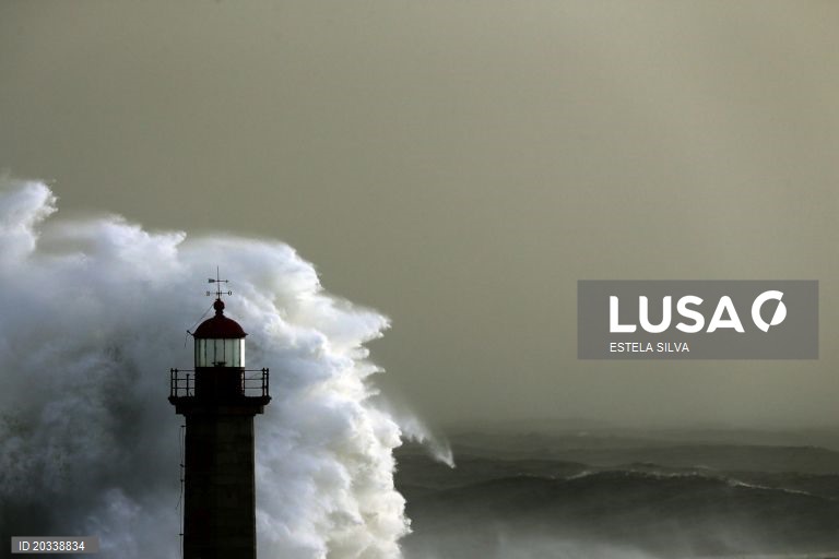 Mau tempo: Autoridades registam 247 ocorrências até às 16:30 - a maioria no Porto