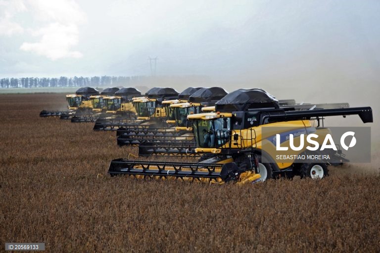 Exportações agrícolas brasileiras atingem recorde em agosto