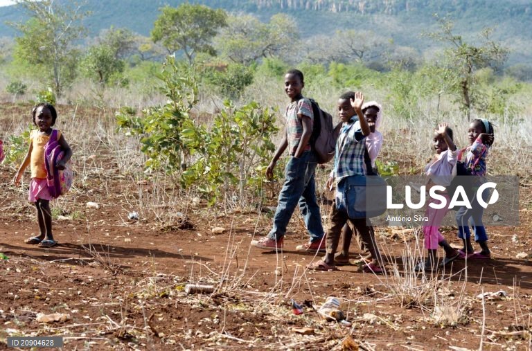 Mais de 10 mil turmas estudam ao ar livre em Moçambique - Governo